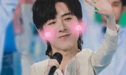 最新爆料刘宇宁视频下载,揭秘幕后故事与精彩瞬间